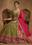 Olive Green & Rani Pink Zari Border Lehenga Choli with Ethnic Design