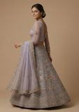 Designer Embroidered Lehenga Choli