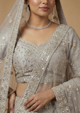 Light Grey Designer Lehenga Choli with Embroidery & Sequin Work