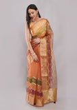 Multicolor Tissue Silk Saree with Rich Golden Zari Border