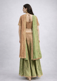 Brown & Olive Green Embellished Indo-Western Palazzo Set with Dupatta
