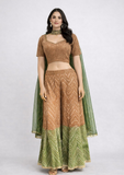 Brown & Olive Green Embellished Indo-Western Palazzo Set with Dupatta