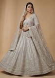 Light Grey Designer Lehenga Choli with Embroidery & Sequin Work