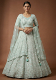 Sea Green Embroidered Lehenga Choli Set