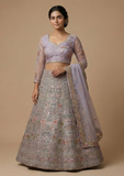 Designer Embroidered Lehenga Choli