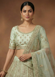 Pista Green Designer Lehenga Choli with Heavy Zari Embroidery