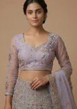 Designer Embroidered Lehenga Choli