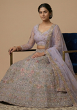Designer Embroidered Lehenga Choli