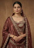 Brown Embroidered Lehenga Choli