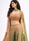 Brown & Olive Green Embellished Indo-Western Palazzo Set with Dupatta